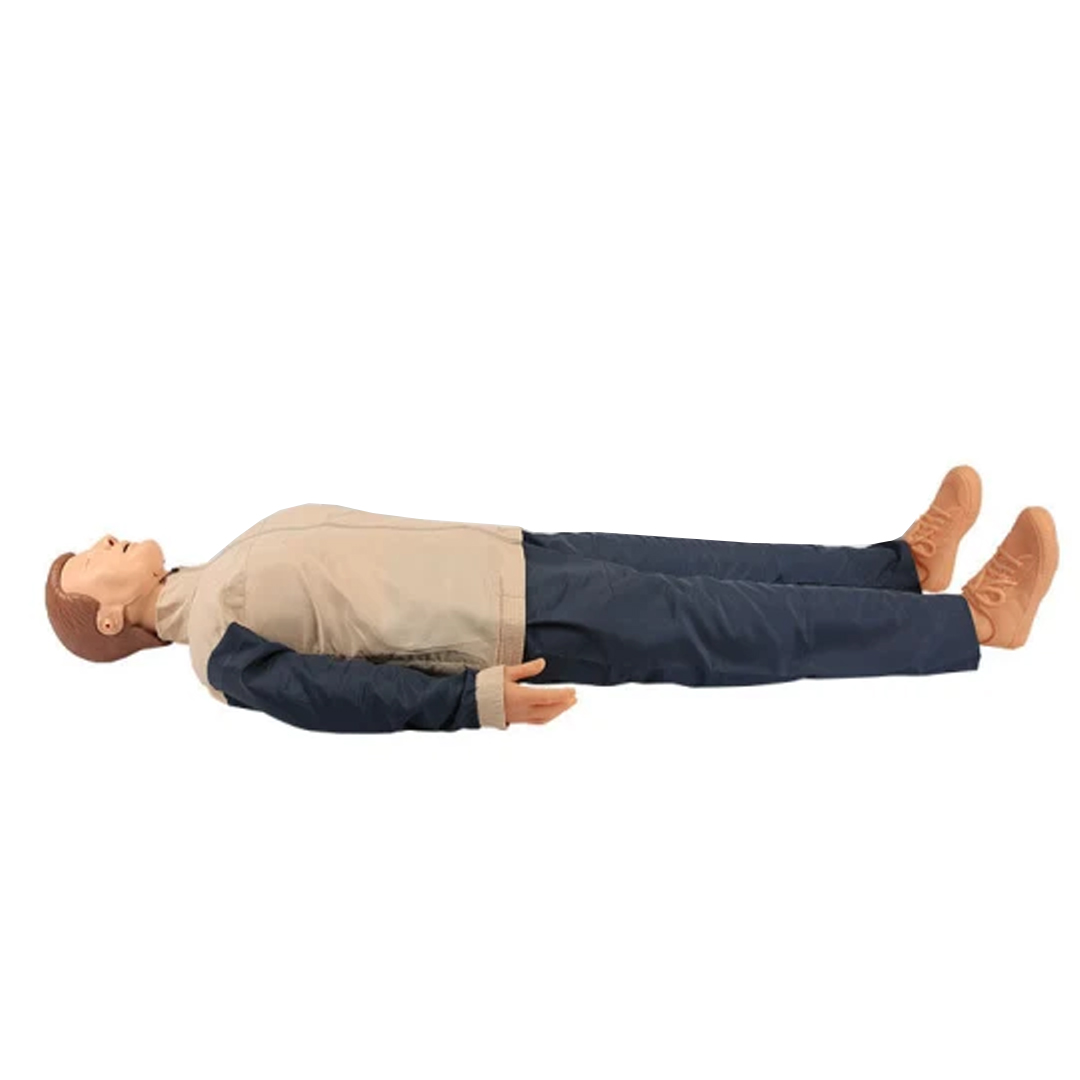 Manikin Model Body available in online  pharmacy qatar, doha 